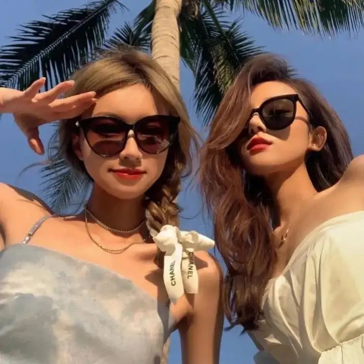 上天入海擒金匪